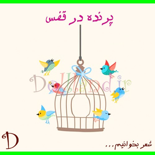 پرنده در قفس | شعرهای کودکانه